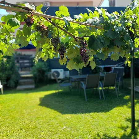 Xronis Néa Mihanióna