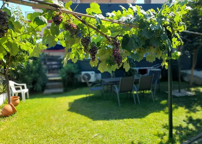 Xronis 尼亚米卡尼奥纳